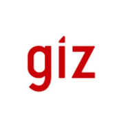 Deutsche Gesellschaft für Internationale Zusammenarbeit (GIZ)